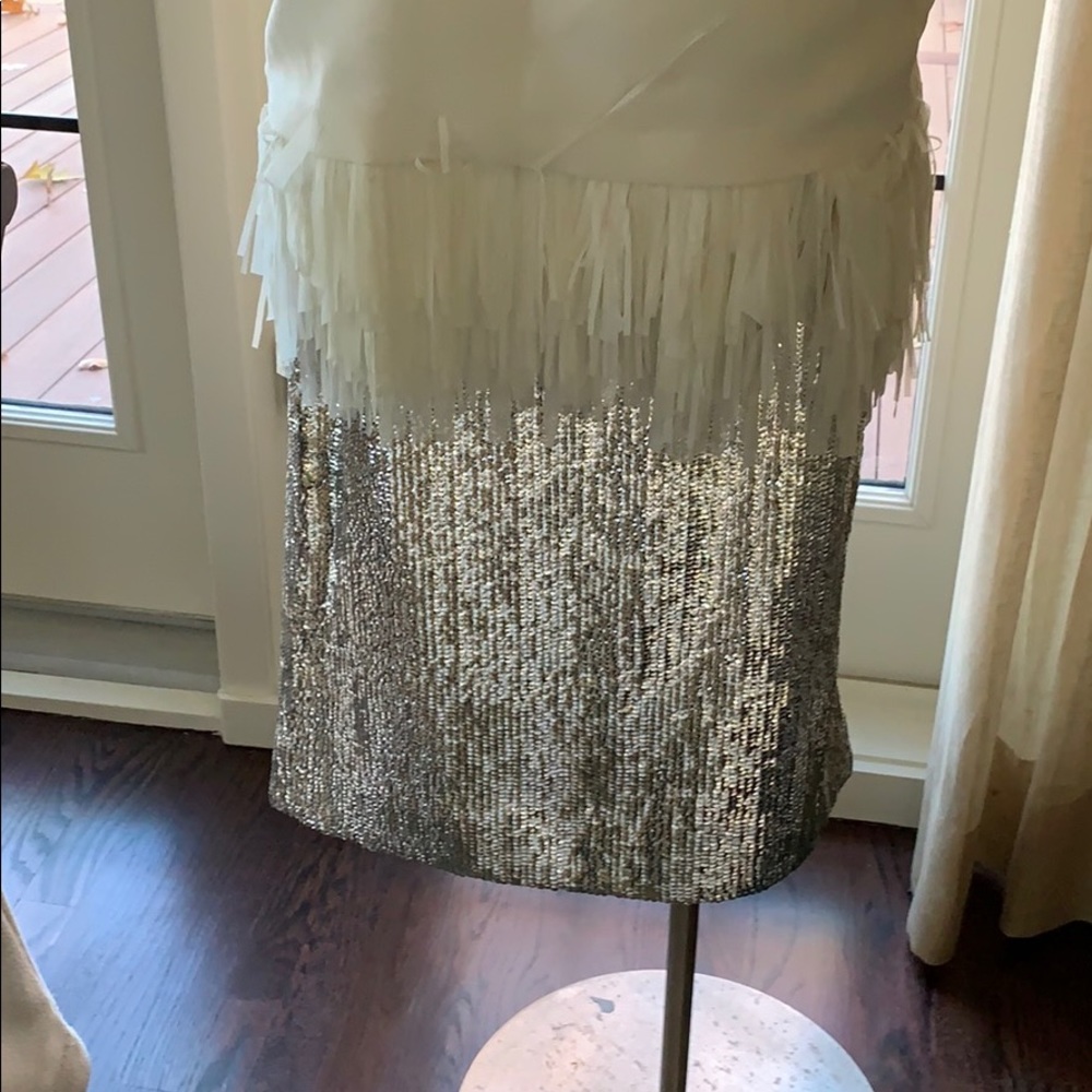 Silver sequinned skirt